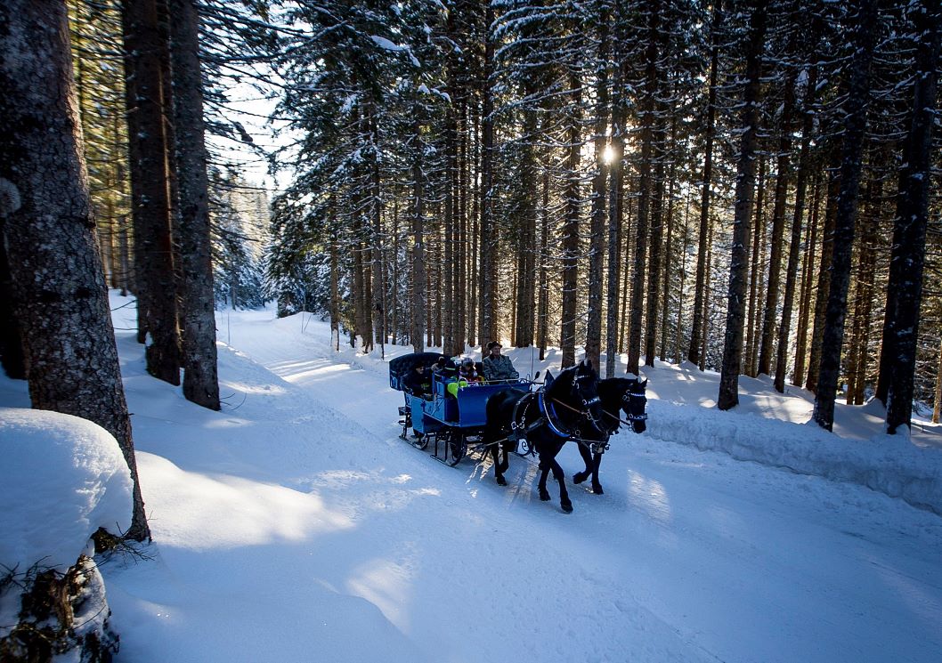 Pferdeschlittenfahrt durch die winterliche Landschaft von Filzmoos