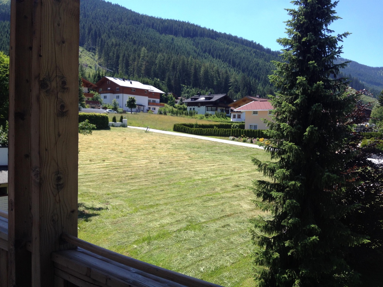 Aussicht vom Appartement Rossbrand